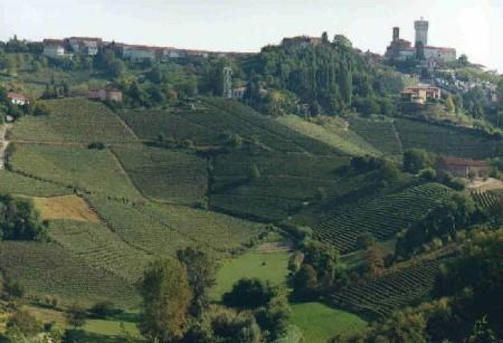 Bed and Breakfast Il Grappolo Mongardino Exterior foto